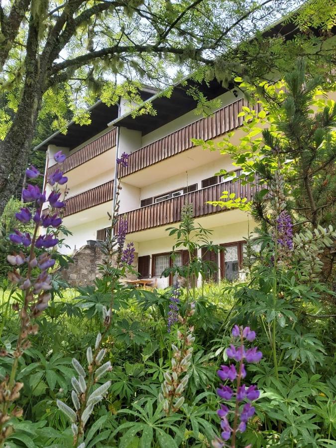 Korlape Apartman 4.2 Wolfsbergi járás Kültér fotó